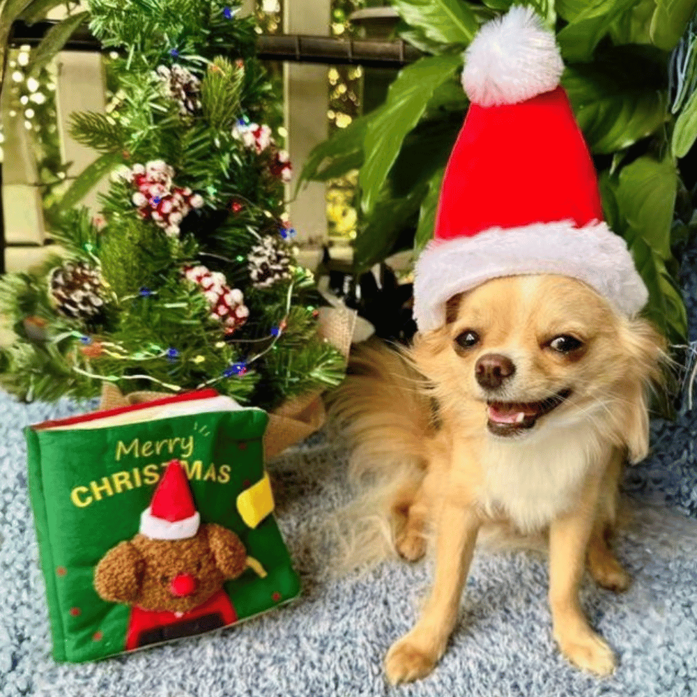 Deluxe Santa Hat