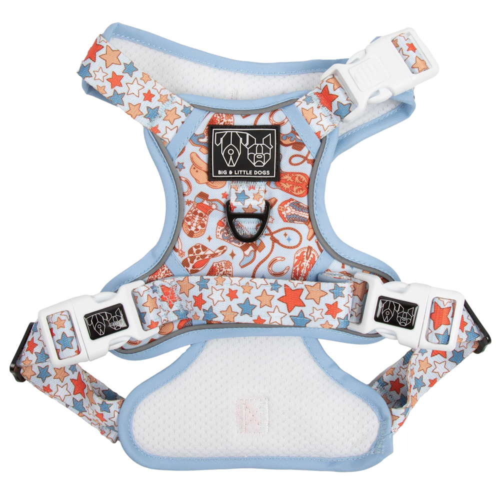 Big & Little Dogs Rodeo King All Rounder Harness