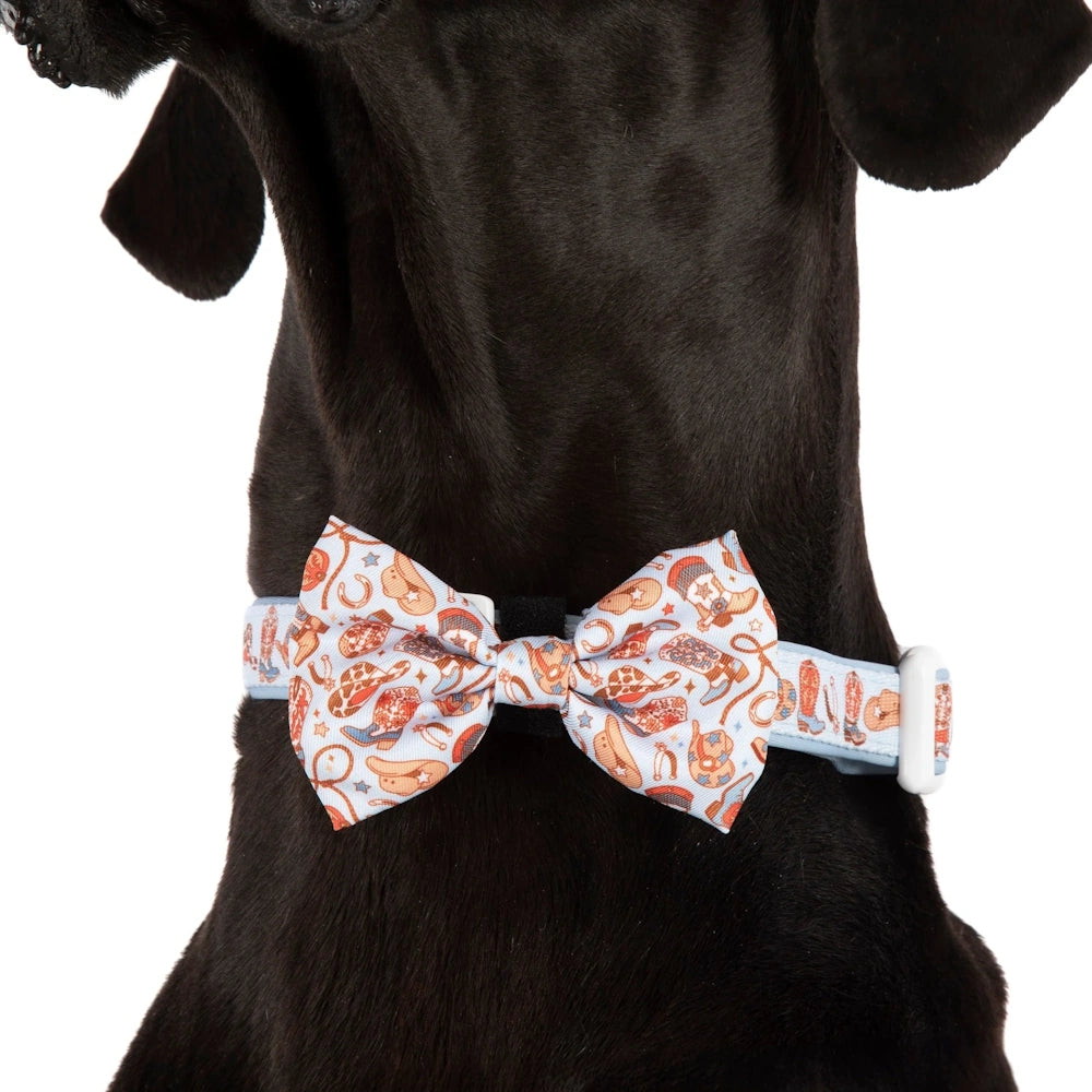 Big & Little Dogs Rodeo King Collar & Bow Tie