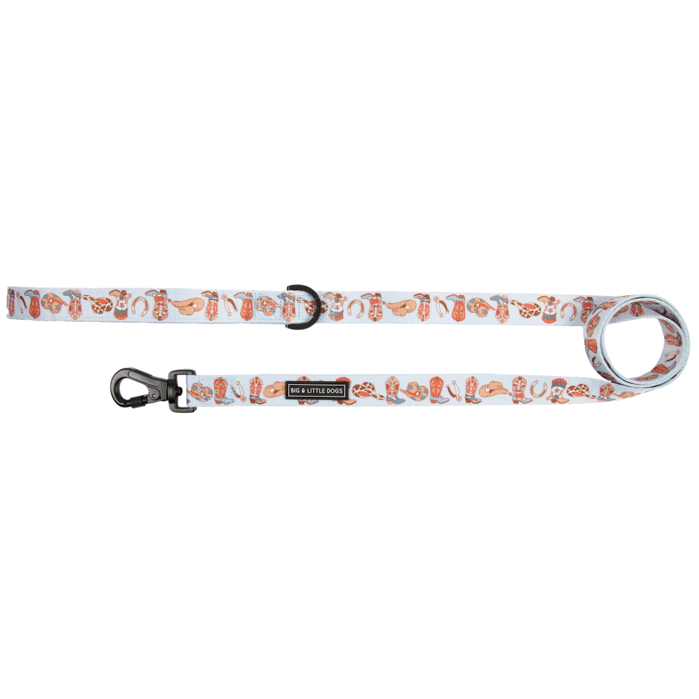 Big & Little Dogs Rodeo King Dog Leash