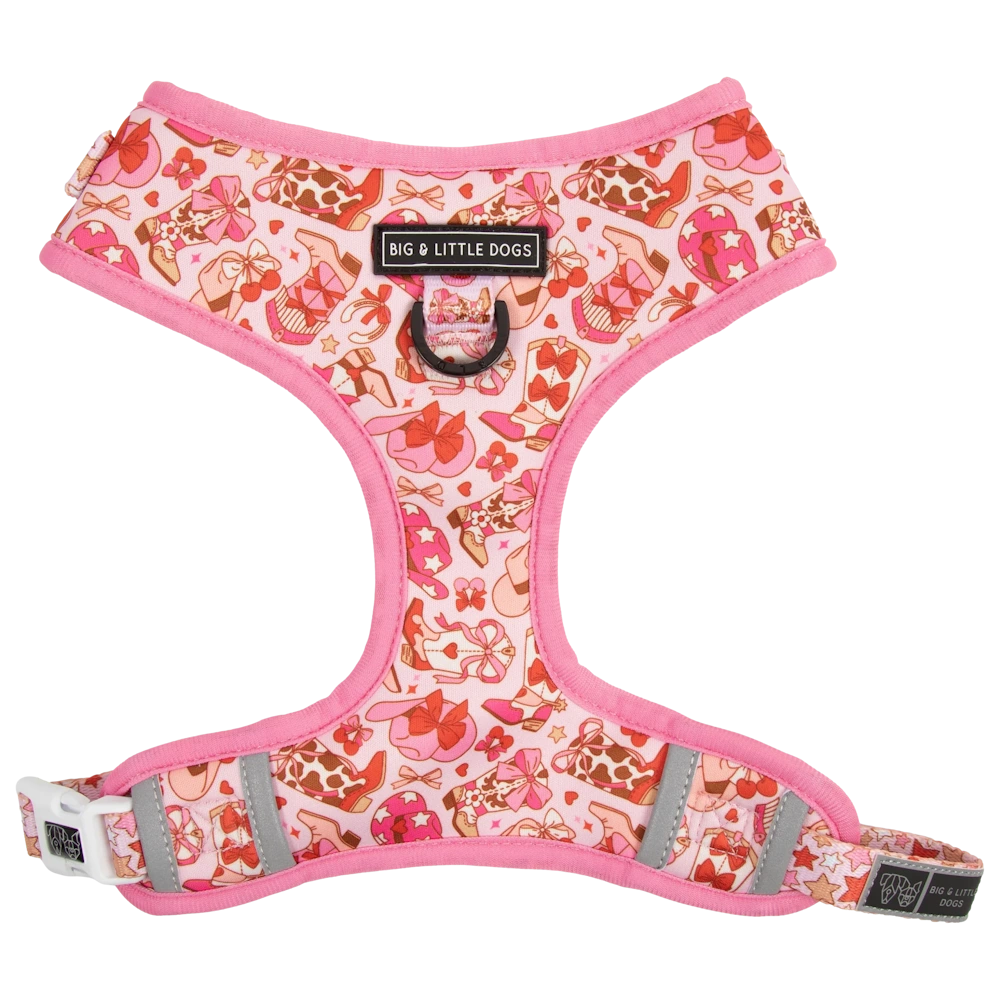 Big & Little Dogs Rodeo Queen Adjustable Dog Harness