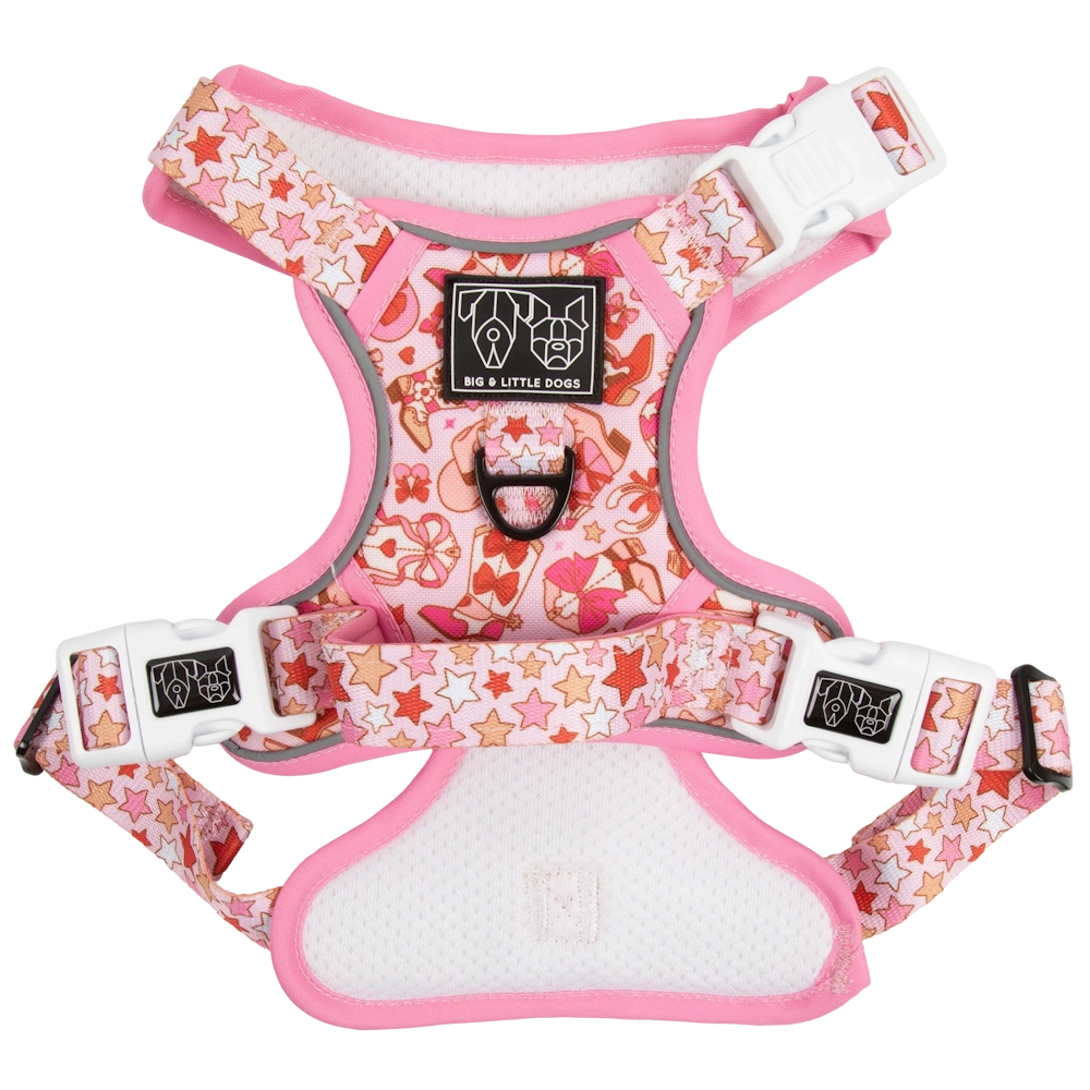 Big & Little Dogs Rodeo Queen All Rounder Harness