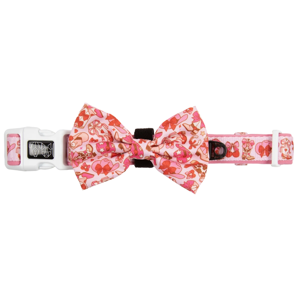 Big & Little Dogs Rodeo Queen Collar & Bow Tie