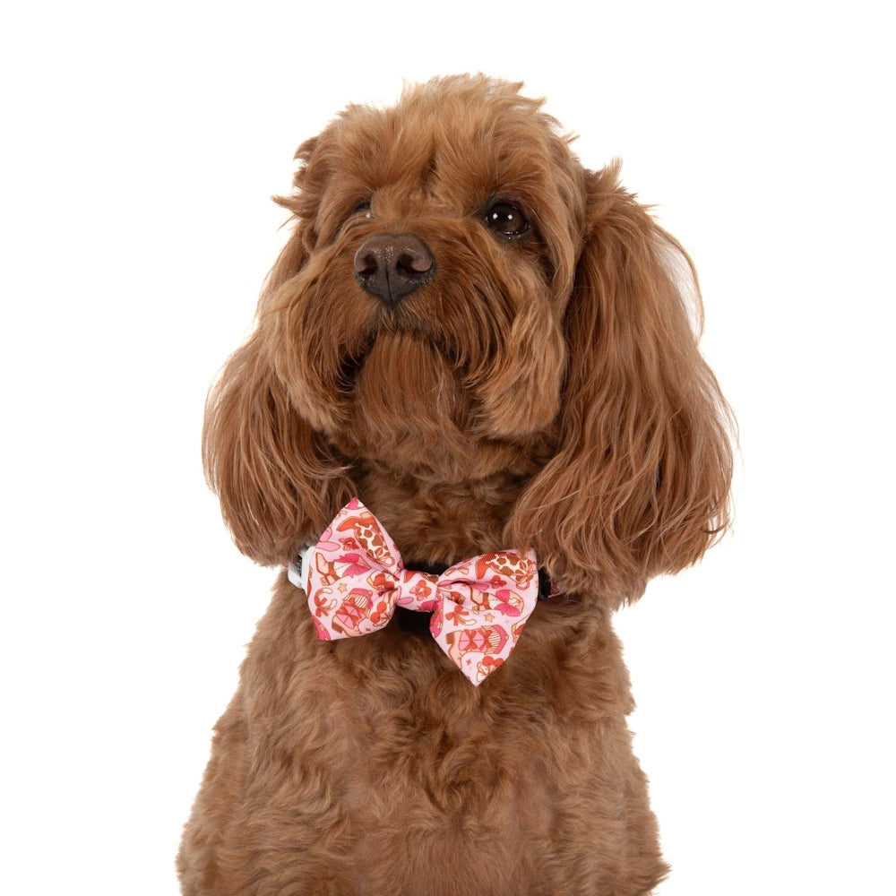 Big & Little Dogs Rodeo Queen Collar & Bow Tie