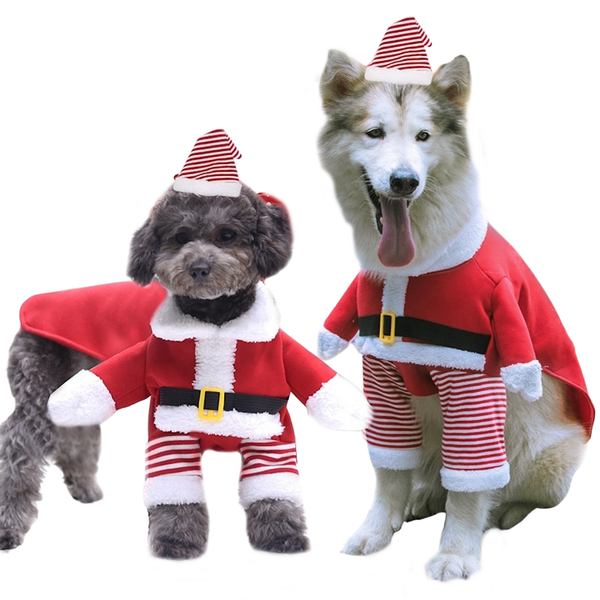 Santa Claus Upright Dog Costume