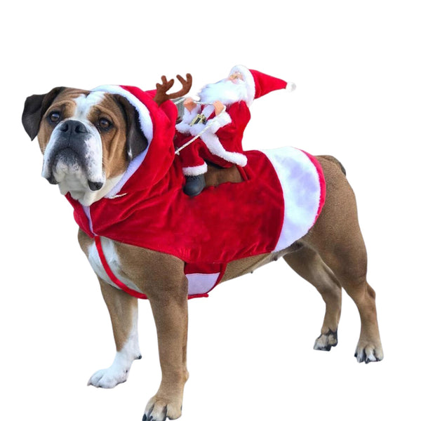Santa Claus Doggy Sleigh Costume