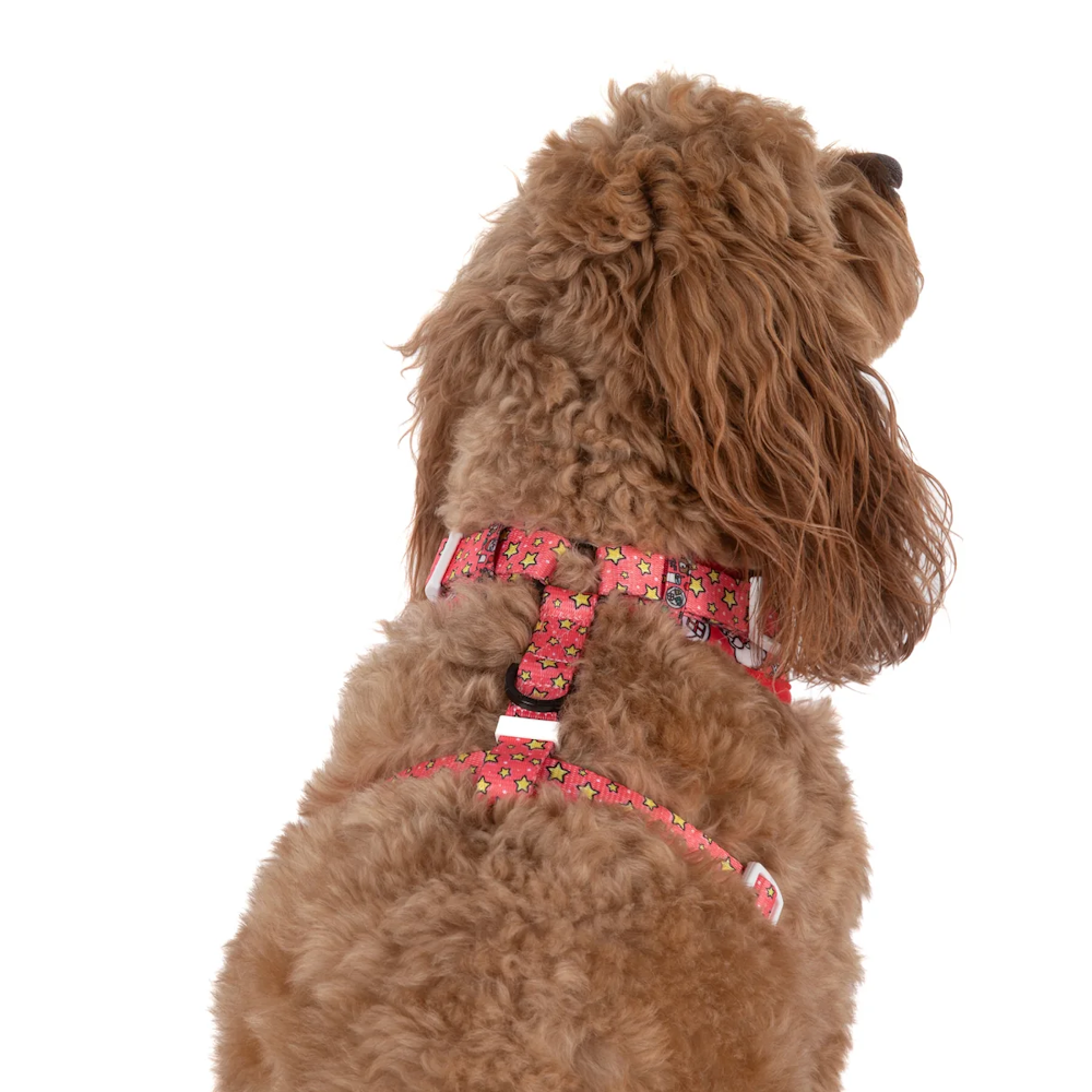 Big & Little Dogs Santa's Cookies Adjustable Harness