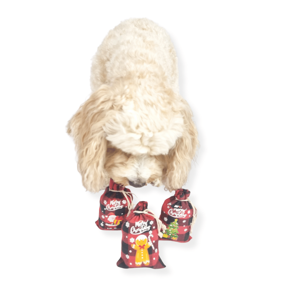 Santa Paws Lolly Sack