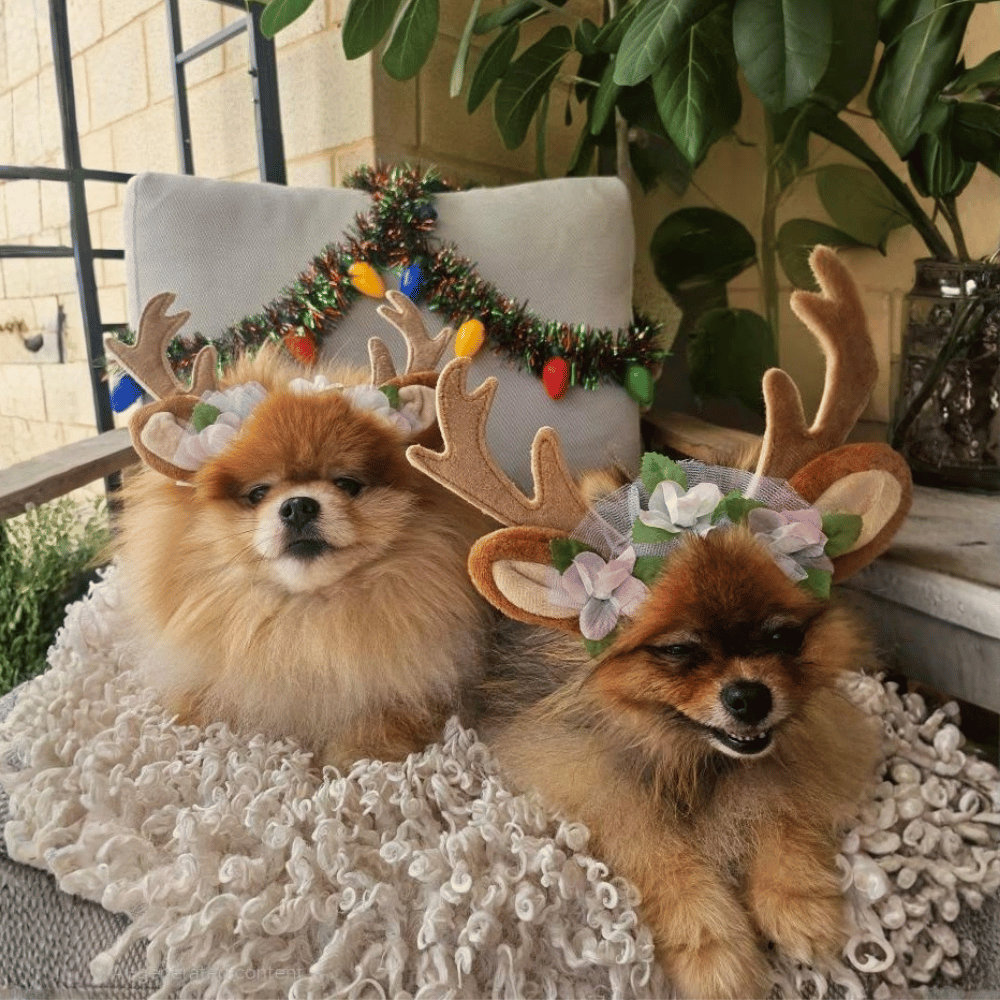 Nordic Reindeer Antlers Dog Headpiece