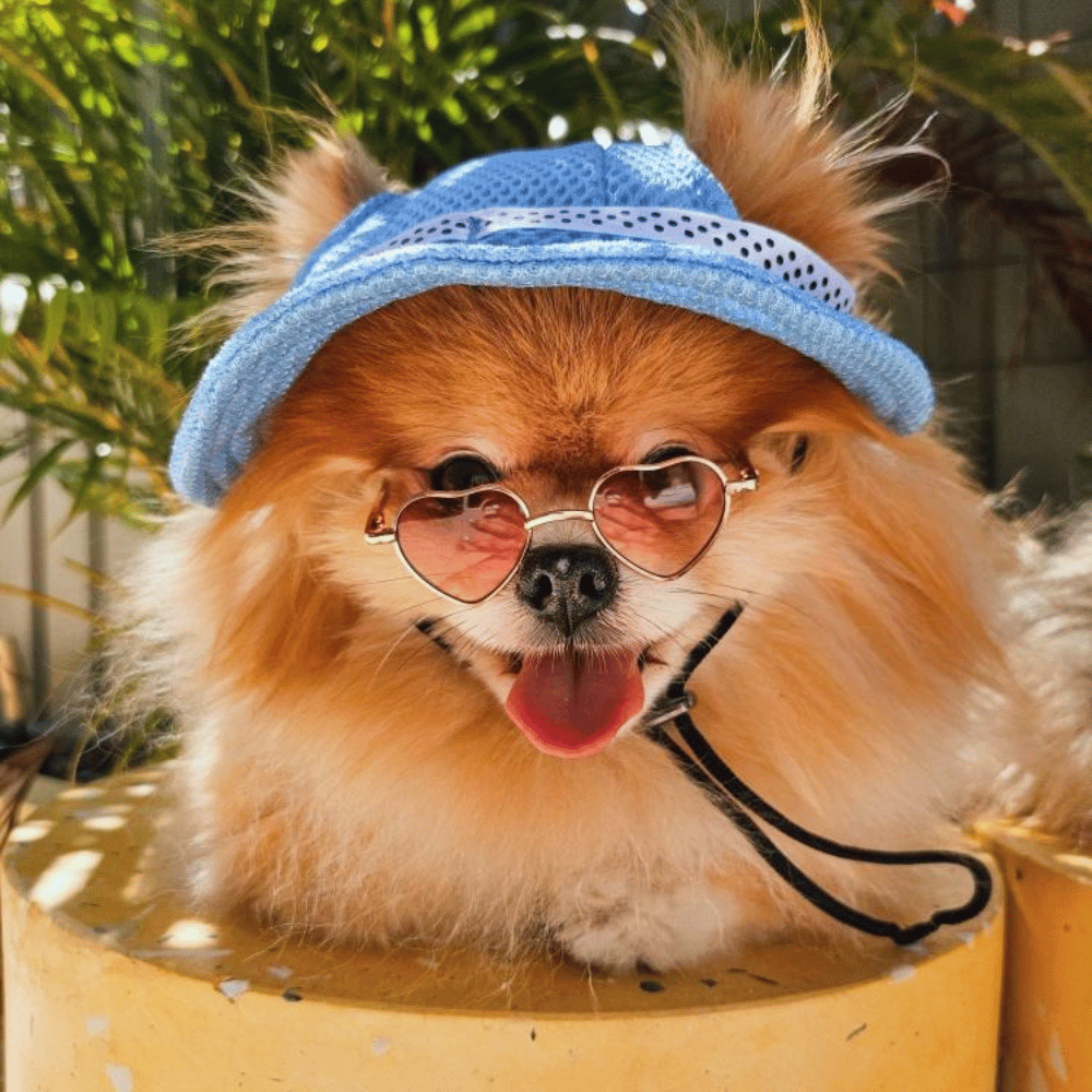 Dog Hat With Sunglasses Round Fashion Dog Sunglasses
