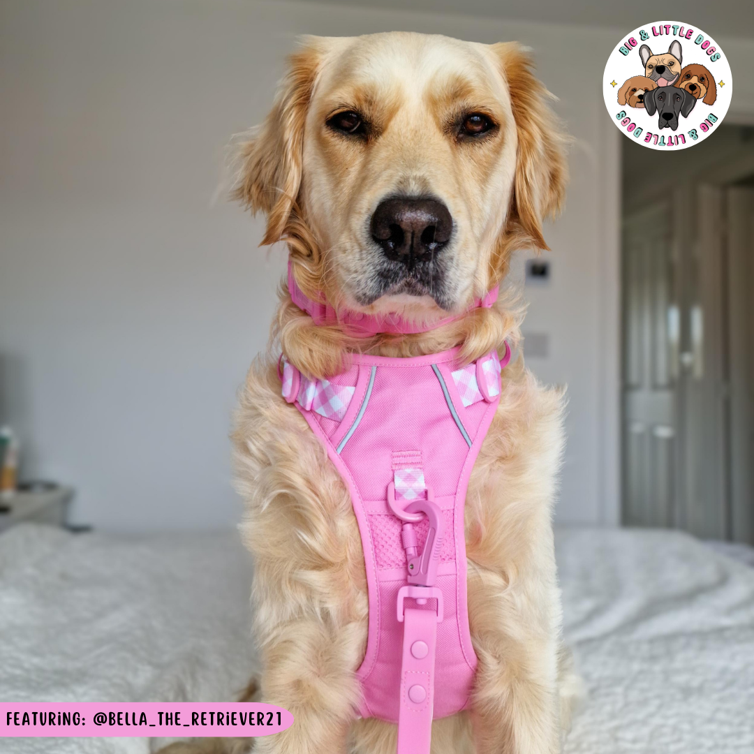 Big & Little Dogs All Rounder Harness - Pink