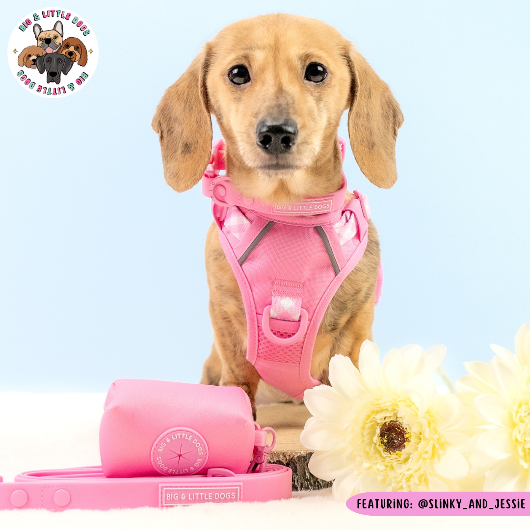 Big & Little Dogs Poop Bag Holder - Pink