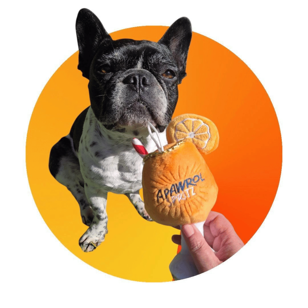 Apawrol Spritz Dog Toy