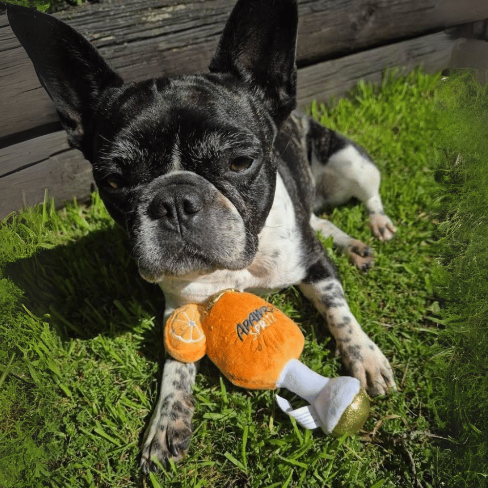 Apawrol Spritz Dog Toy