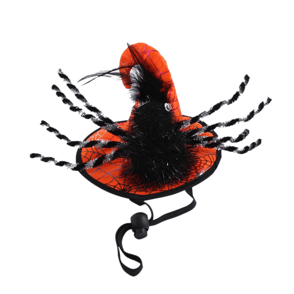 Spooky Spider Witch Dog Hat
