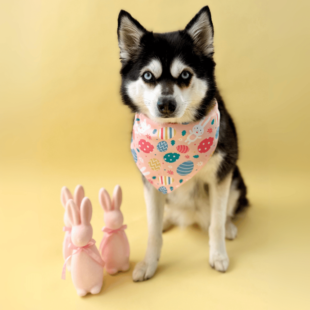 Bunny Egg Hunt Bandana