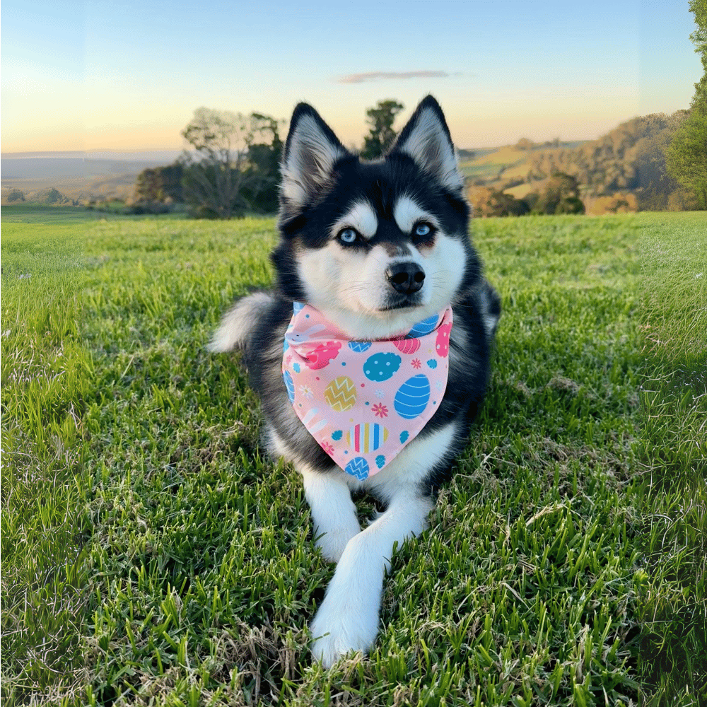 Bunny Egg Hunt Bandana