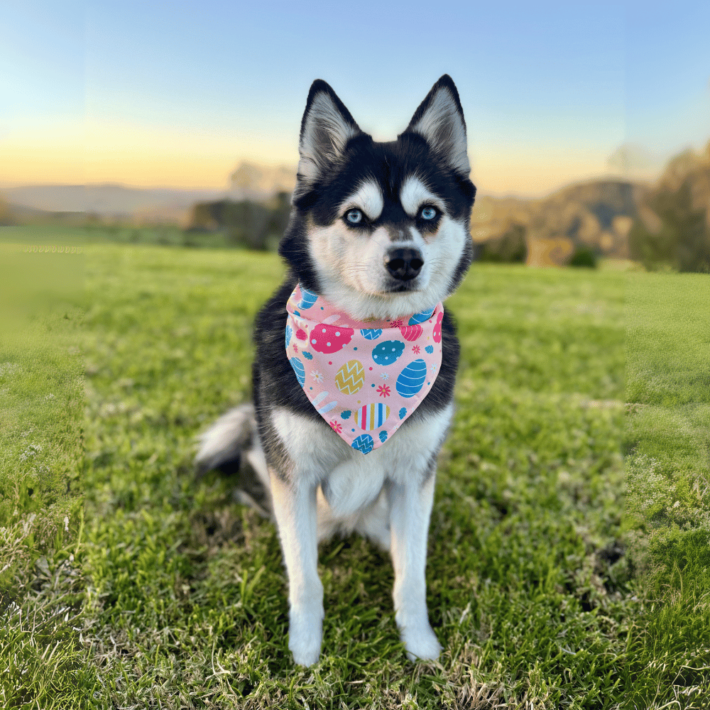 Bunny Egg Hunt Bandana