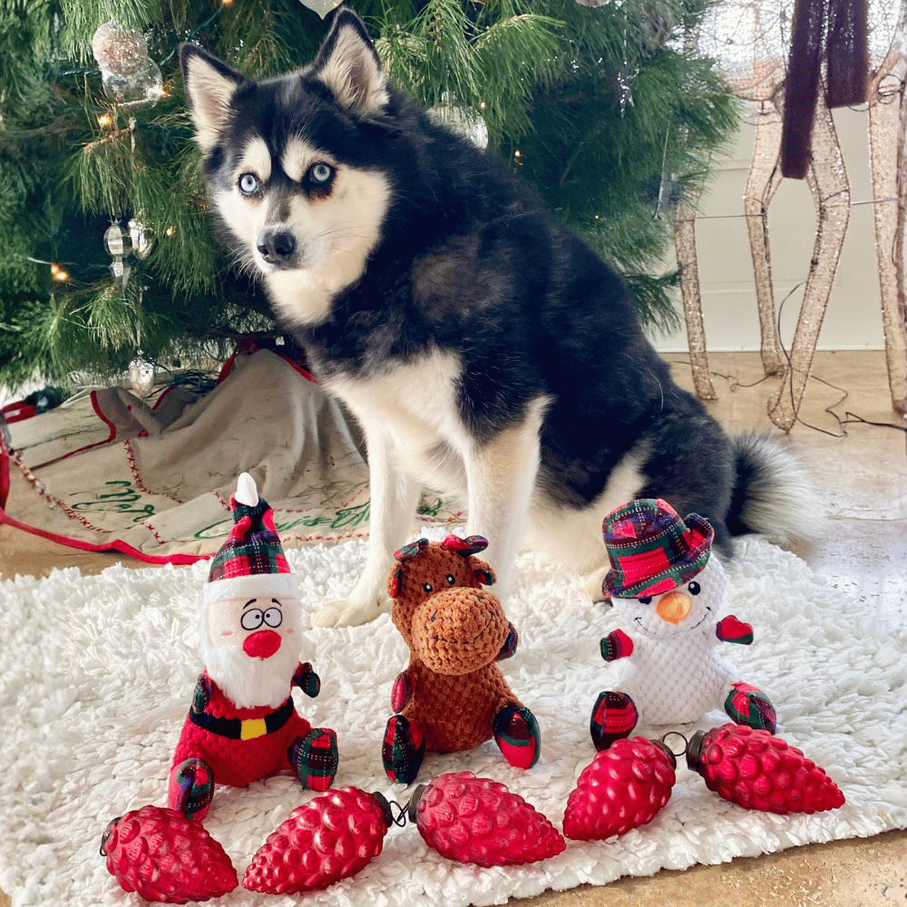 Santa Plush Plaid Dog Toy