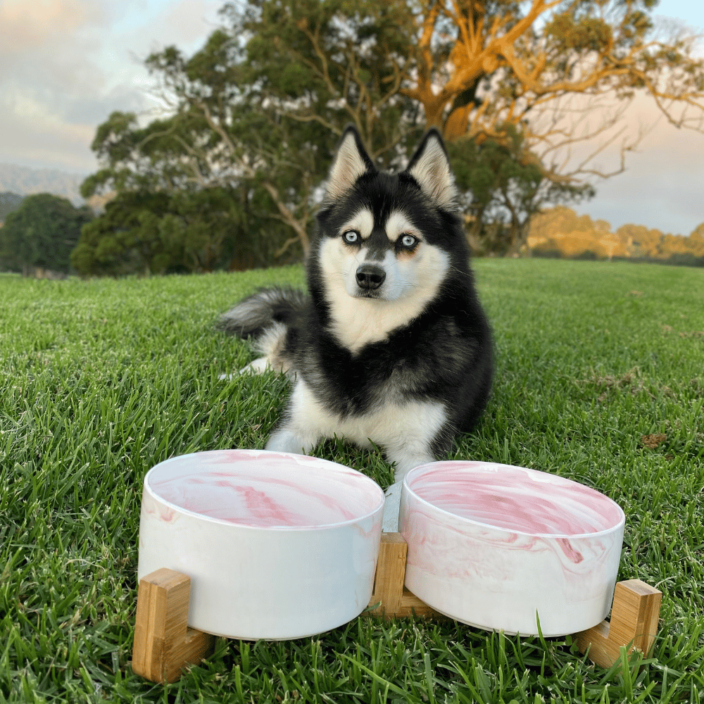 Double Marble Ceramic Bowls With Bamboo Stand