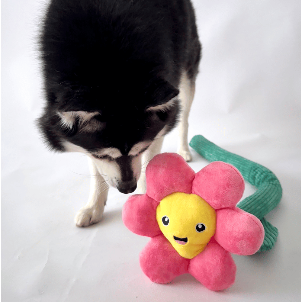 Pink Daisy Flower Dog Toy