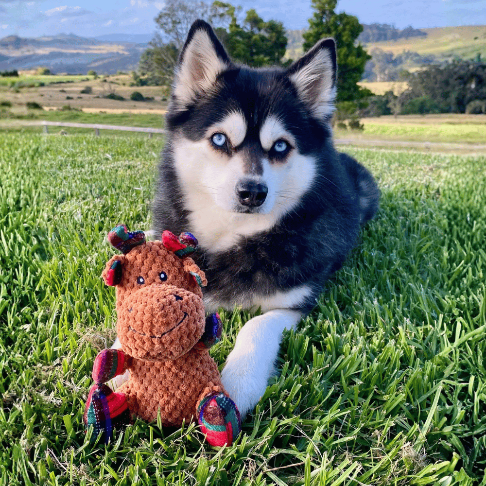 Reindeer Plush Plaid Dog Toy