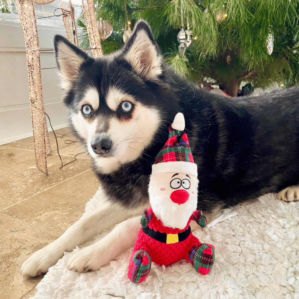 Santa Plush Plaid Dog Toy