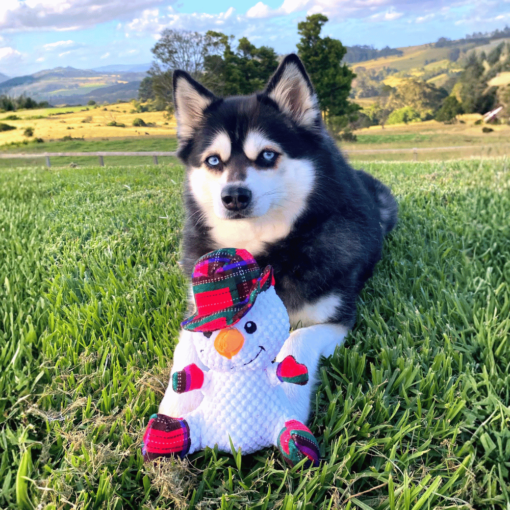 Snowman Plush Plaid Dog Toy