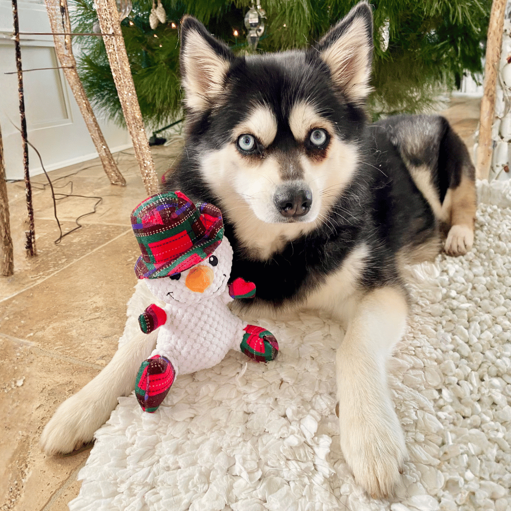 Snowman Plush Plaid Dog Toy