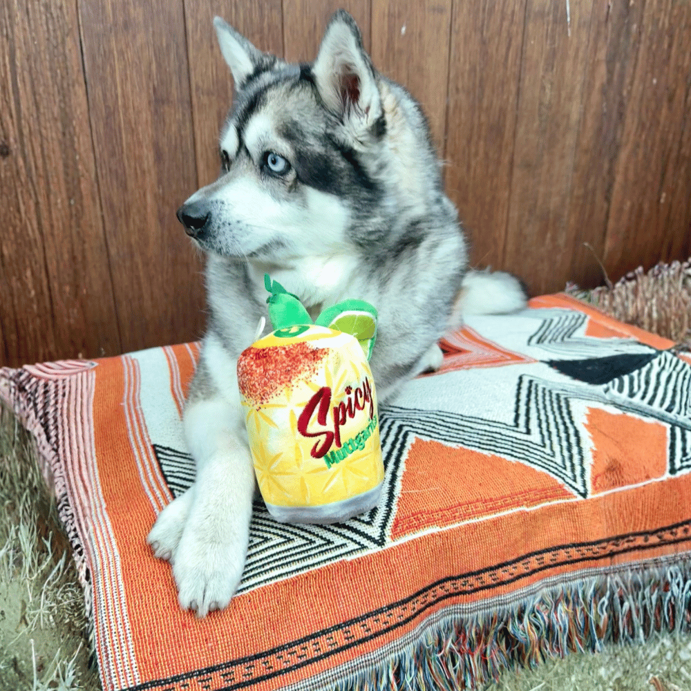Spicy Muttgarita Drink Dog Toy