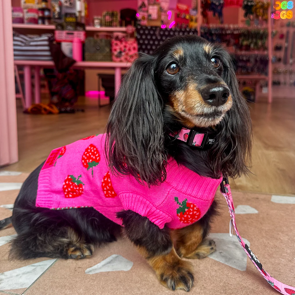 Pablo & Co Strawberries Sweater