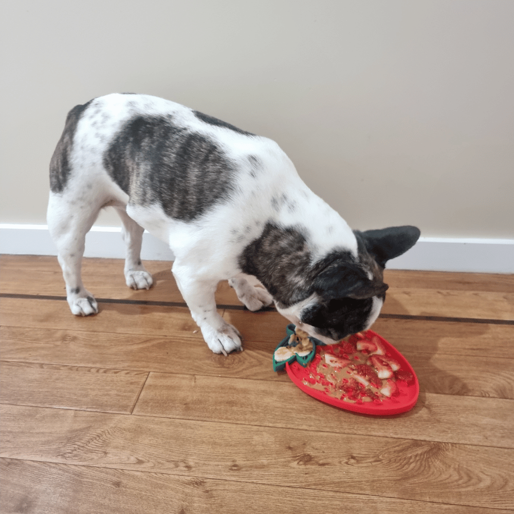 Strawberry Dog Lick Mat