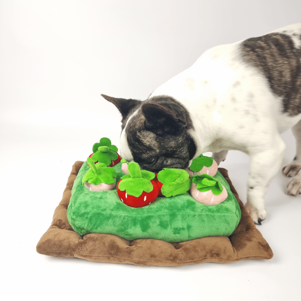 Strawberry Patch Nose Work Toy