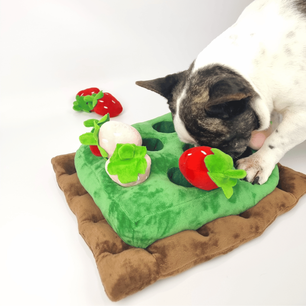 Strawberry Patch Nose Work Toy
