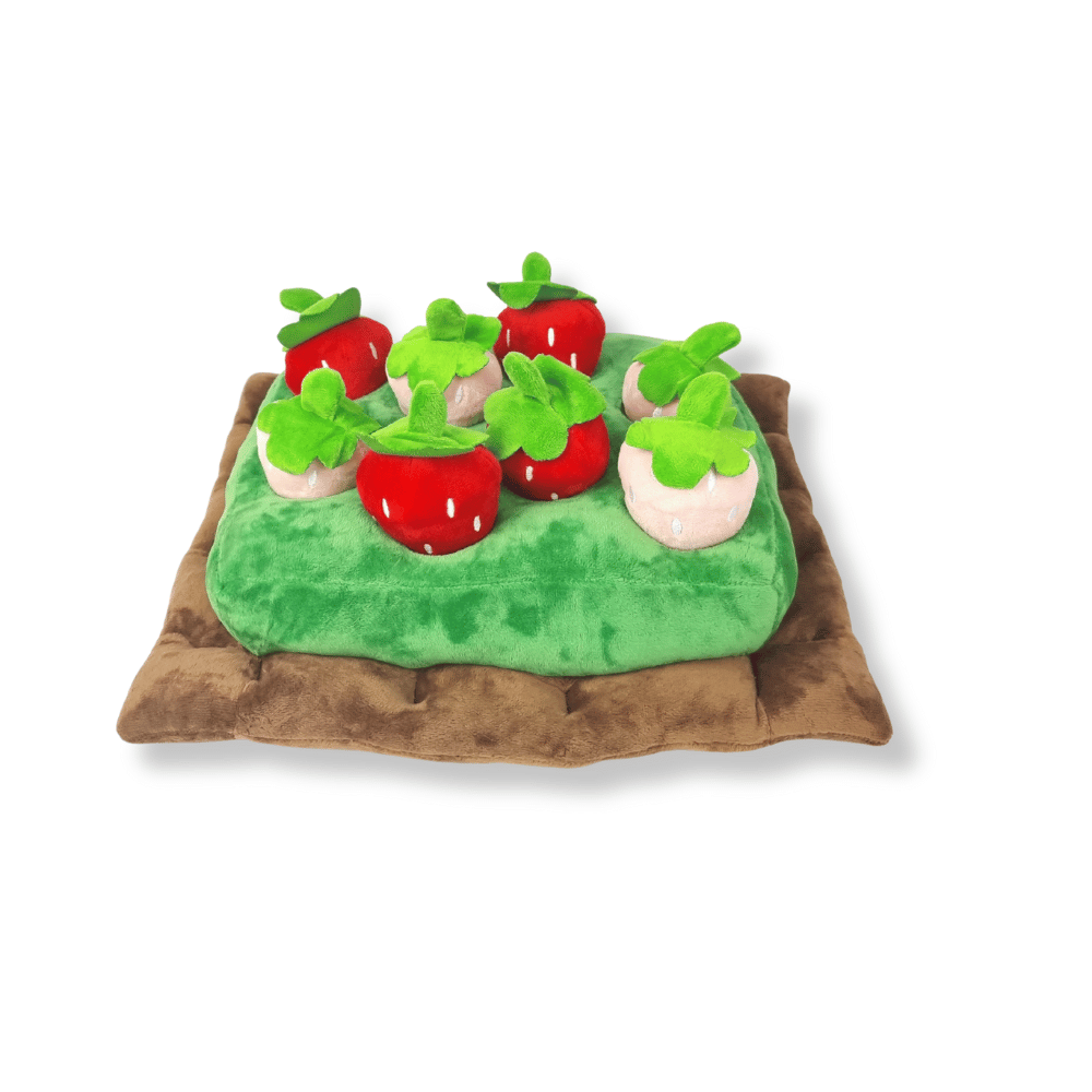Strawberry Patch Nose Work Toy