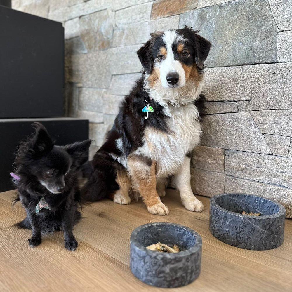 Marble Dog Bowl - Black