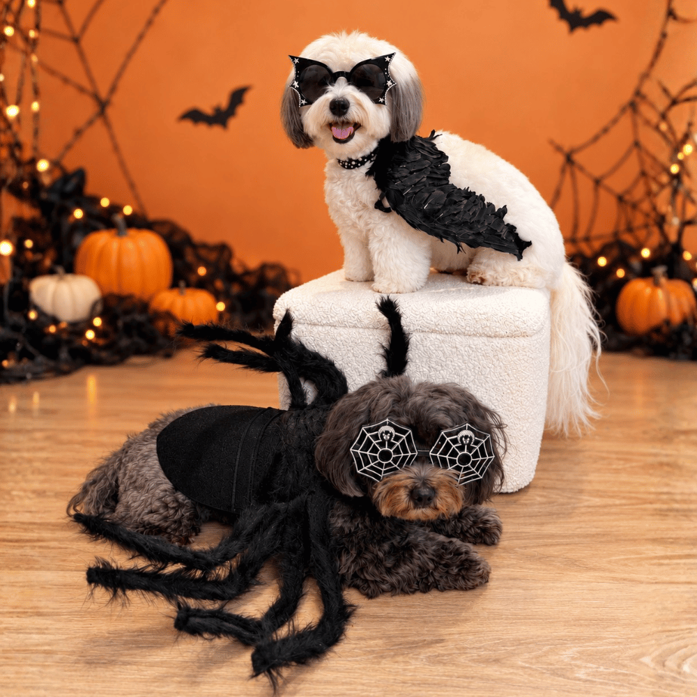 Fuzzy Spider Dog Costume