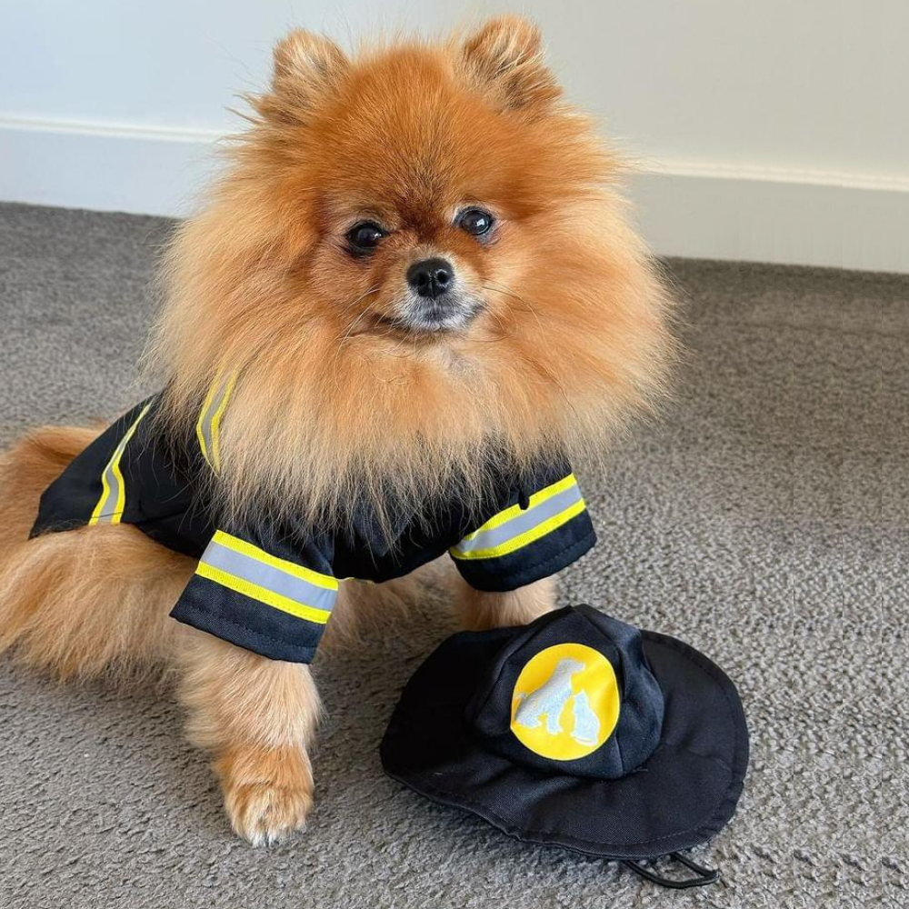 Fireman Dog Costume