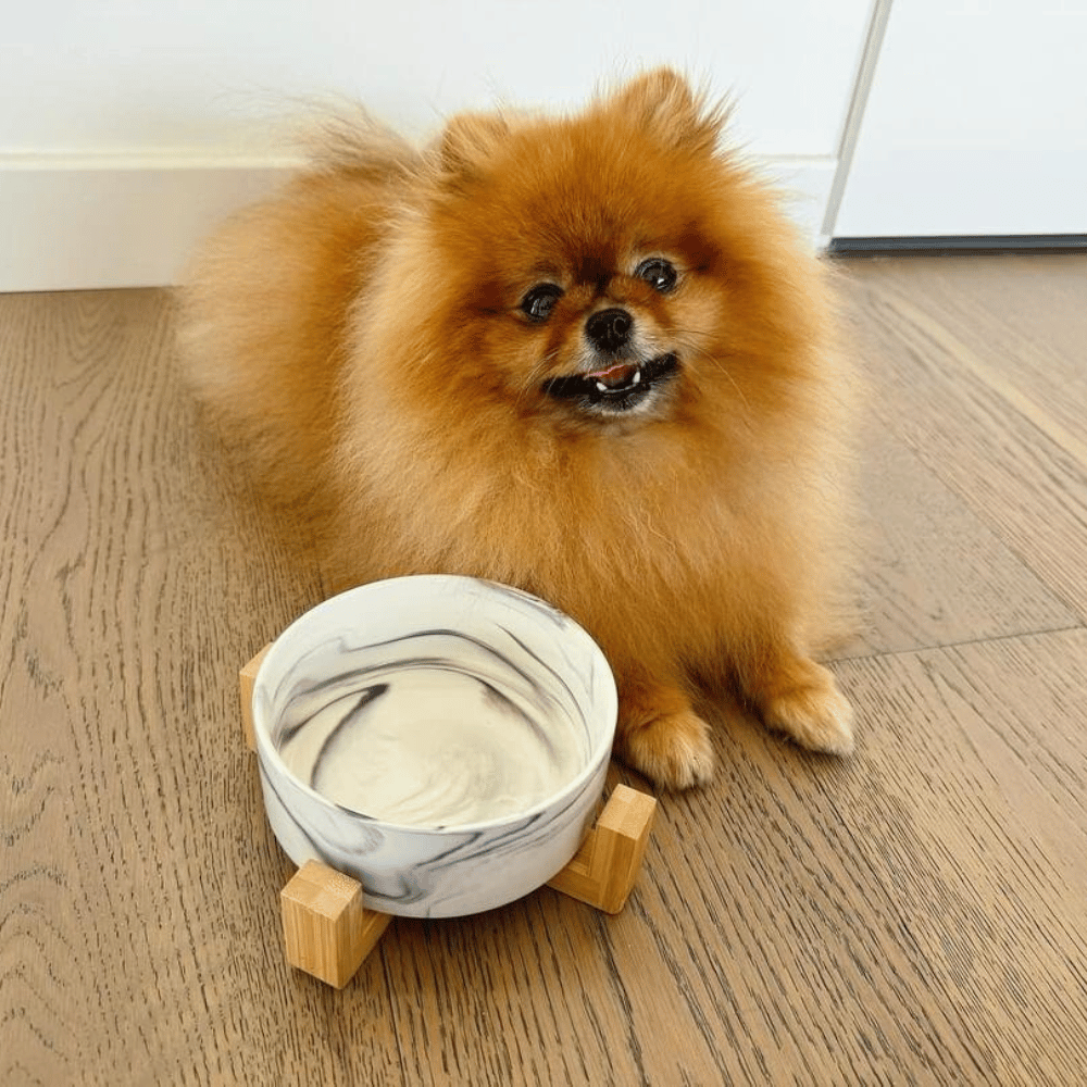 Marble Ceramic Bowl with Bamboo Stand