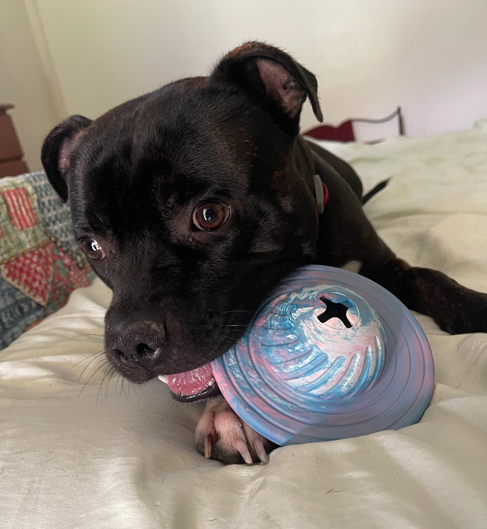 UFO Treat Dispenser Dog Toy - Galactic Swirl