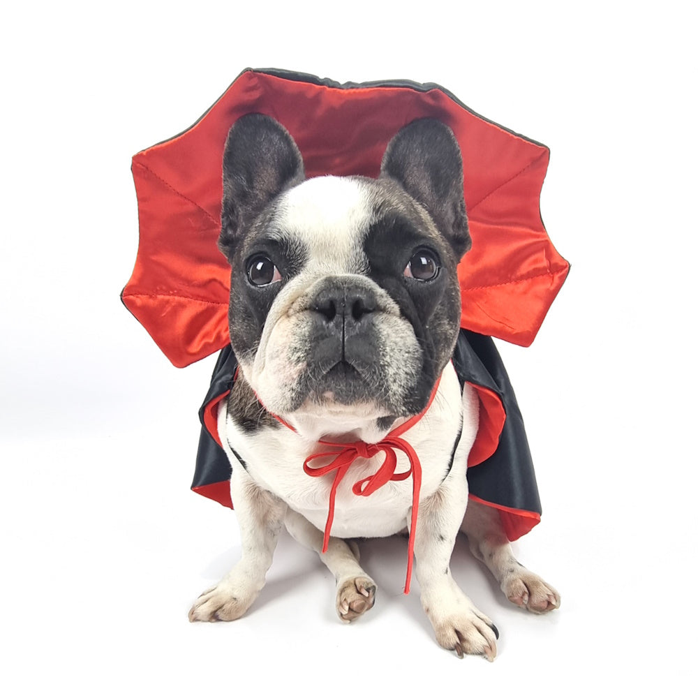 Dracula Cape Dog Costume