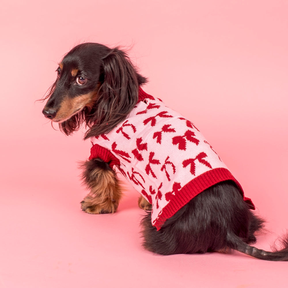 Pablo & Co Velvet Blush Bows Sweater