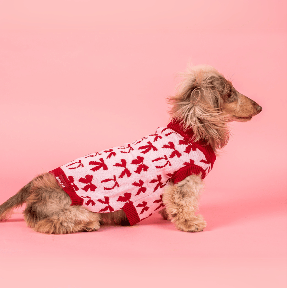 Pablo & Co Velvet Blush Bows Sweater