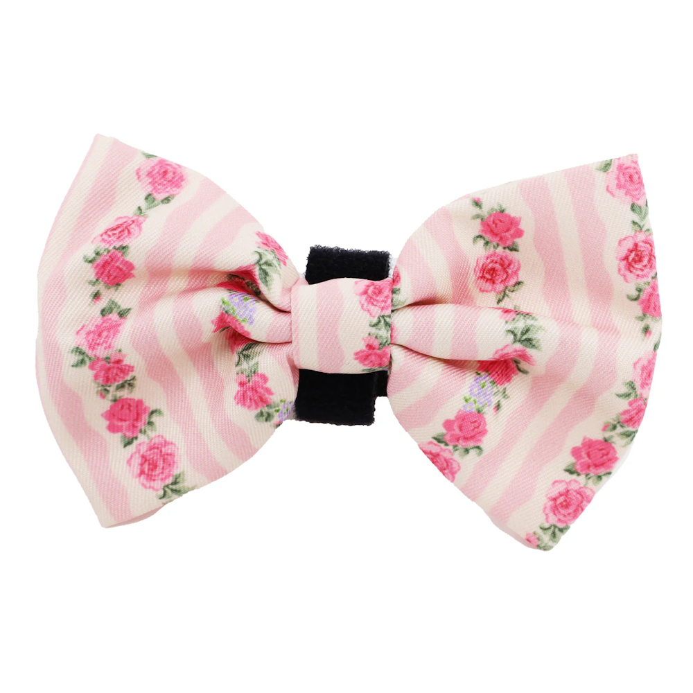 Pablo & Co Vintage Rose Bow Tie