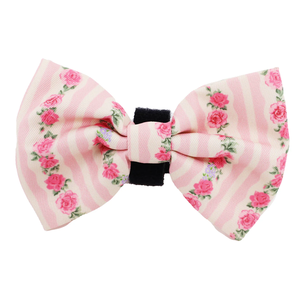 Pablo & Co Vintage Rose Bow Tie