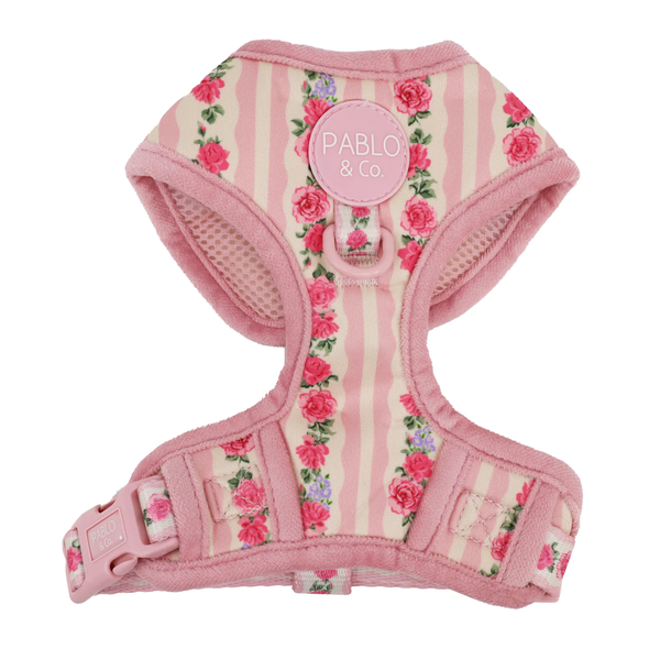 Pablo & Co Vintage Rose Adjustable Harness