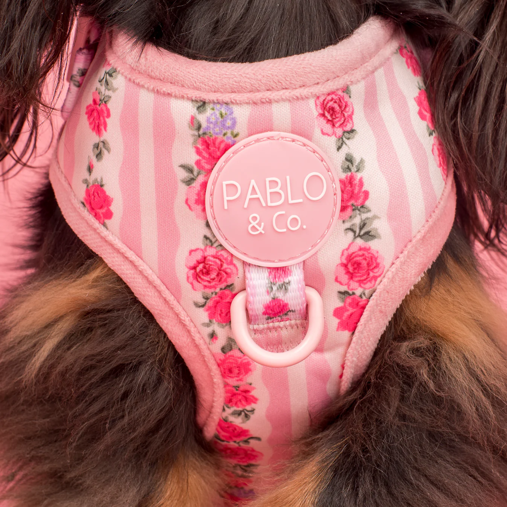 Pablo & Co Vintage Rose Adjustable Harness
