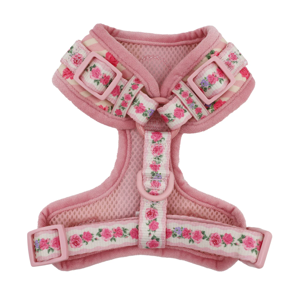 Pablo & Co Vintage Rose Adjustable Harness