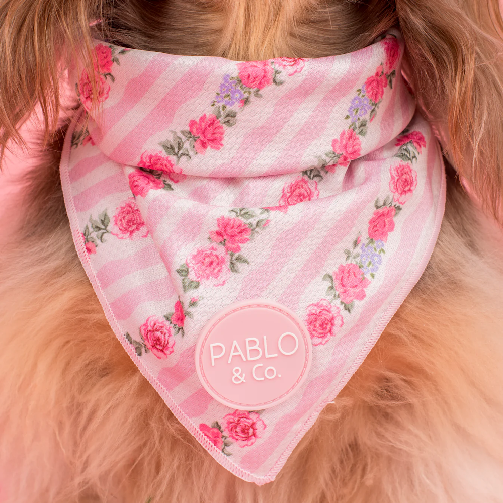 Pablo & Co Vintage Rose Bandana
