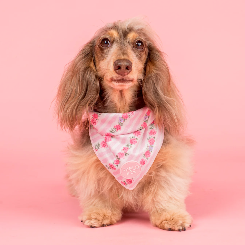 Pablo & Co Vintage Rose Bandana